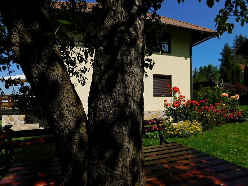 Slika 6